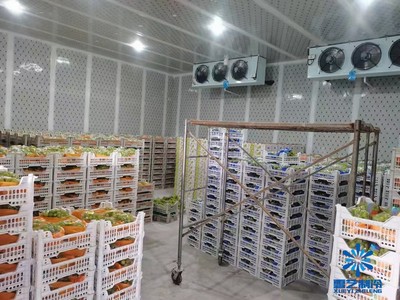 家庭农场建造冷库需要投资多少钱?