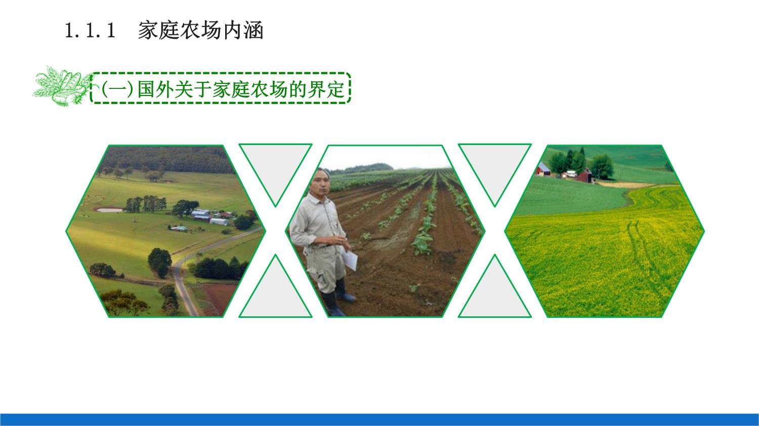 家庭农场基本知识-家庭农场的特征